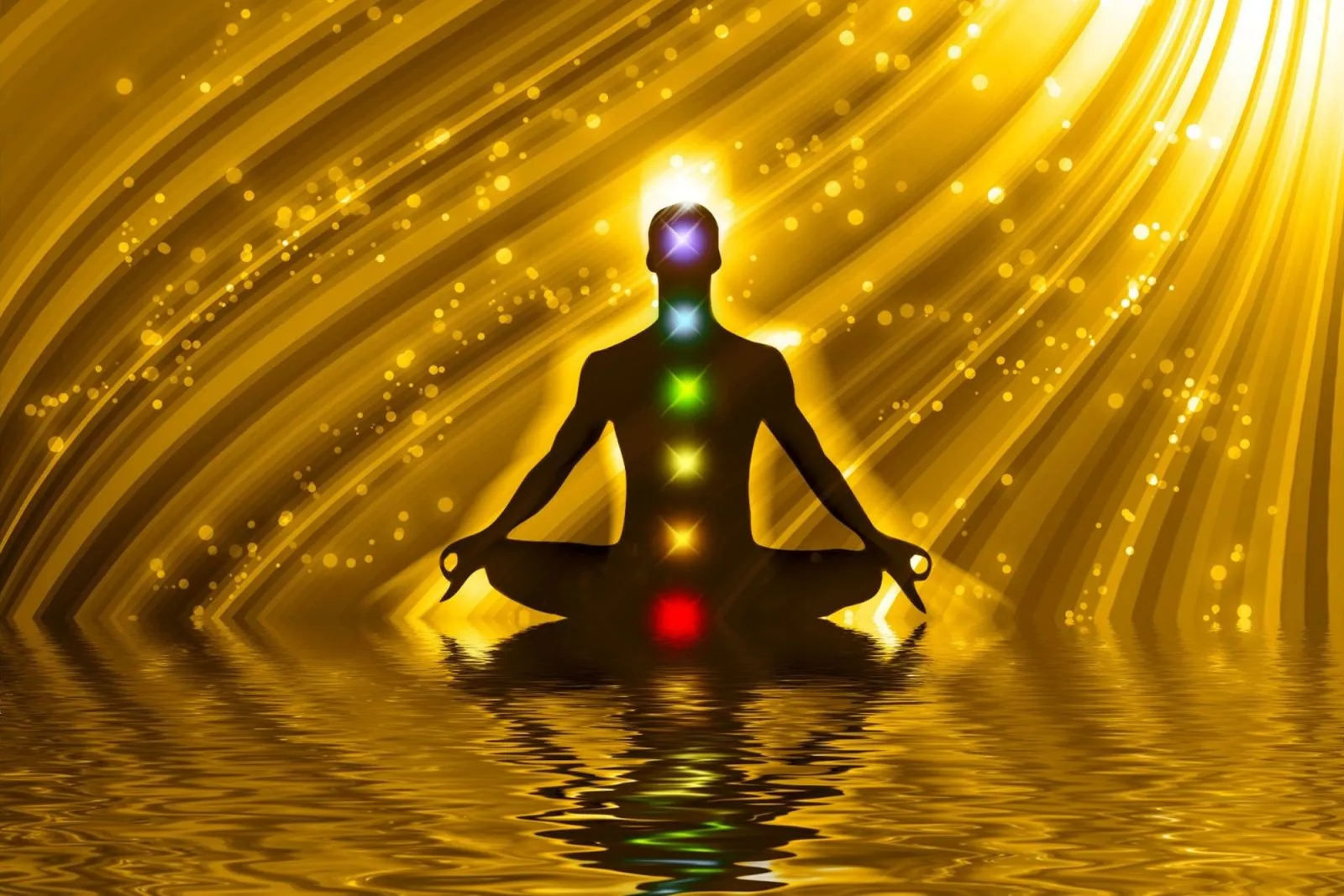 A calm setting used for Shree Foundation’s guided meditation sessions