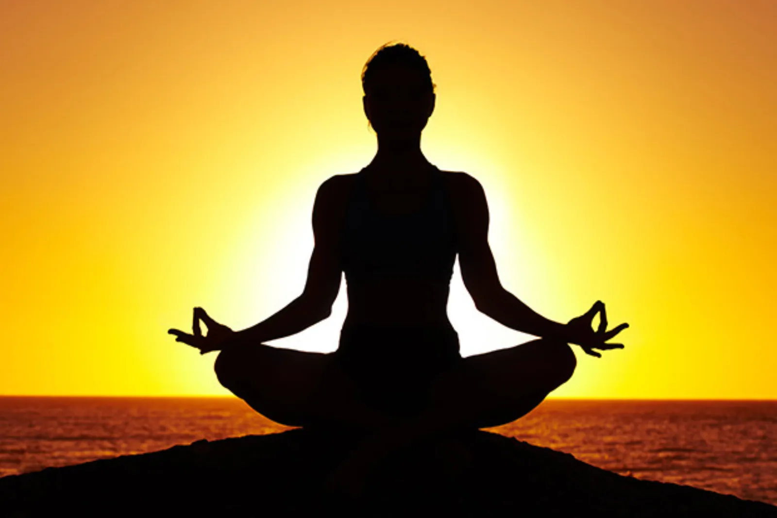 A quiet, supportive space representing Shree Foundation’s mental health care